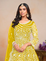 Netra Elegance Embroidered Net Gown EAGW0055
