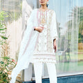 Grace in Glimmer Pakistani Suit EAPK0059