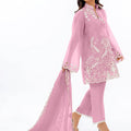 Naaz Embroidered Pakistani Suit LXPK0072