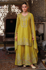 Embroidered Charm Sharara LXSR0093