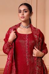 Embroidered Luxury Ethenic Suit LXST0070
