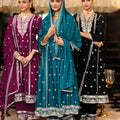 Punjabi Style Ethnic Suit LXST0071
