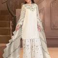 Aarzoo Pakistani Suit EAPK0095