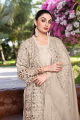 Aarzoo Pakistani Suit EAPK0097
