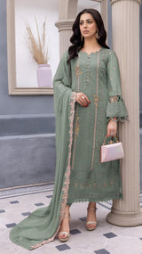 Pakistani suit with  Organza fabrics EAPK0012