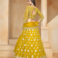 Radiant Beauty Organza Lehenga LXLG0004